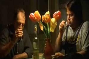 How Italians say I’m sorry with mi dispiace and scusa